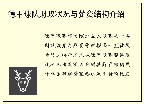 德甲球队财政状况与薪资结构介绍